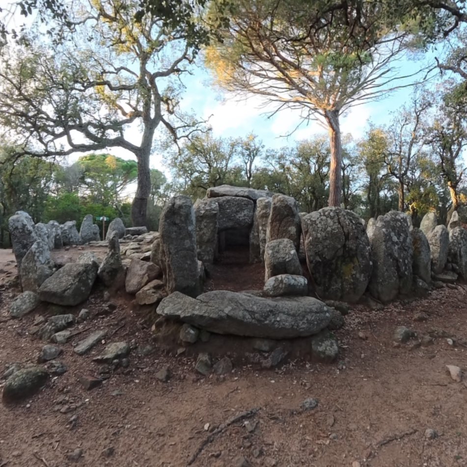 Dolmen en el bosque