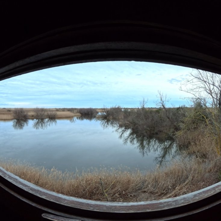 Observatorio del manglar